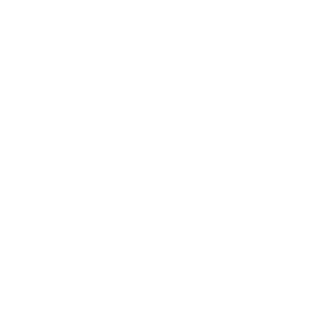 Logo section (clair)